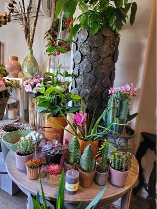 Blumen Dekoration und Floristik