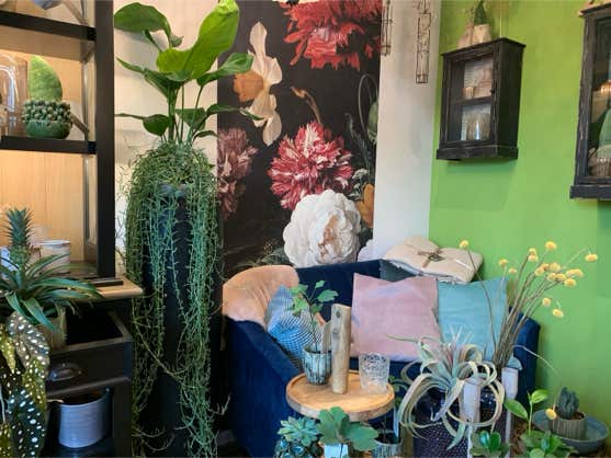 Blumen Dekoration und Floristik